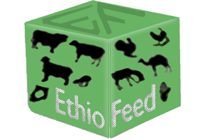 Ethio Feed S.C